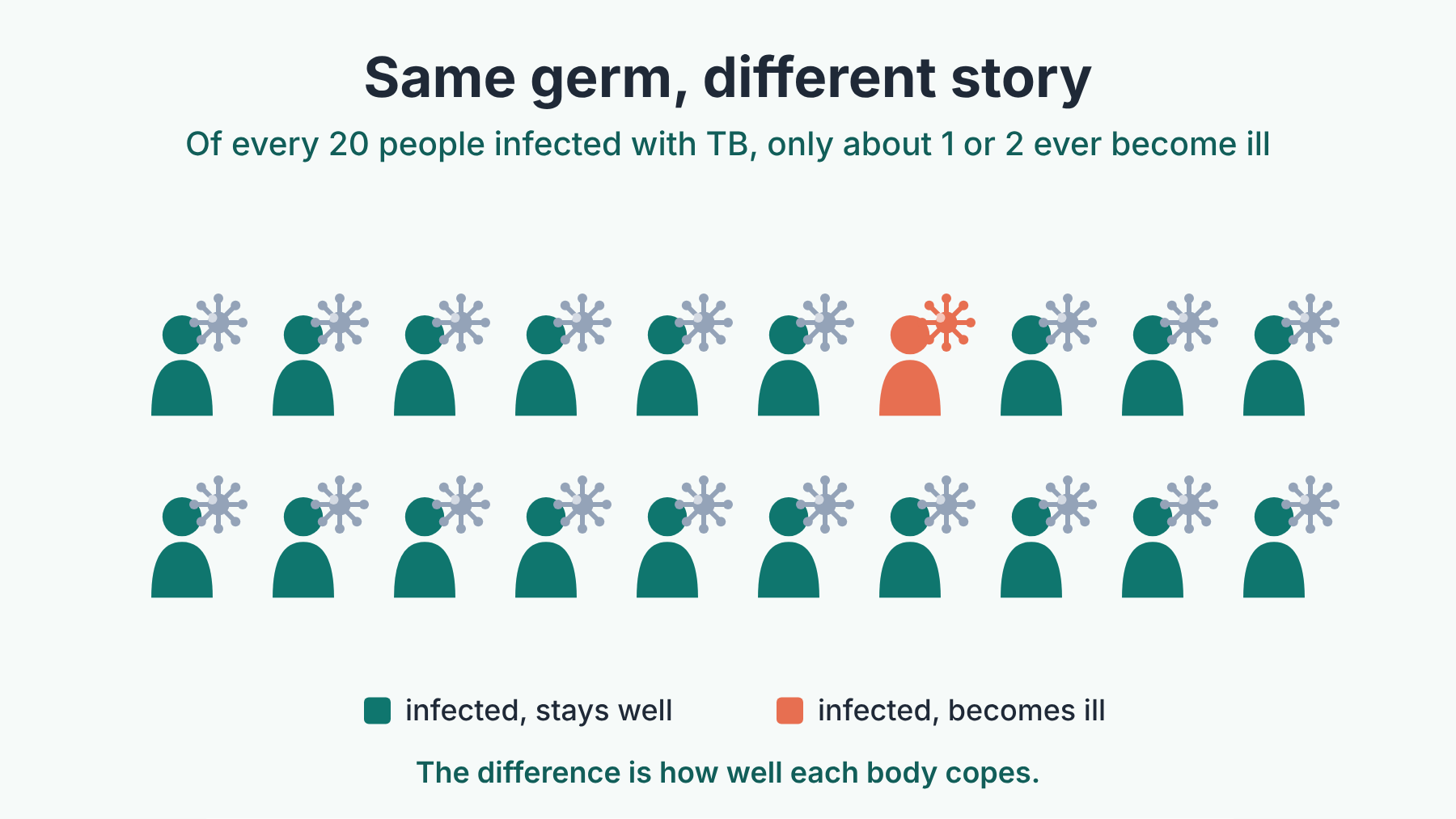 Twenty people infected with the TB germ; only one becomes ill. The difference is how well each body copes.