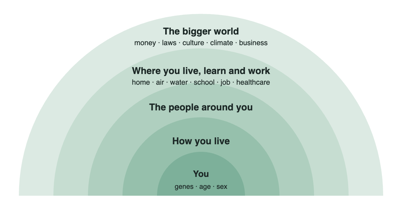 Five layers of health drawn as a rainbow around a person: genes, age and sex; how you live; the people around you; where you live, learn and work; the bigger world.