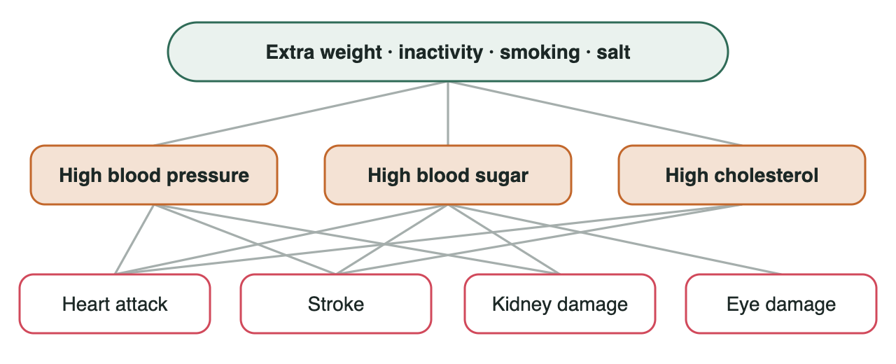 A cascade: extra weight, inactivity, smoking and salt lead to high blood pressure, high blood sugar and high cholesterol, which lead to heart attack, stroke, kidney damage and eye damage.